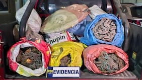 Detienen a dos sujetos por robo de cobre: tenían más de una tonelada del material