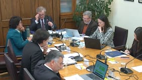 Los primeros lineamientos de la comisión de Educación del Senado por proyecto que prohíbe redes sociales a menores de edad