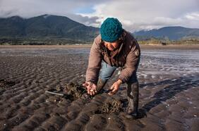 Enfoque de género para la adaptación al cambio climático en el sector pesca y acuicultura