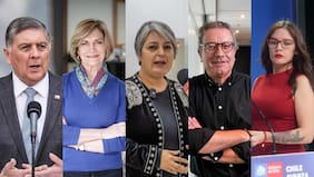 Comisión investigadora por Caso Cerimedo invitará a Matthei, Vallejo, Jara y representantes de Google, Meta y X