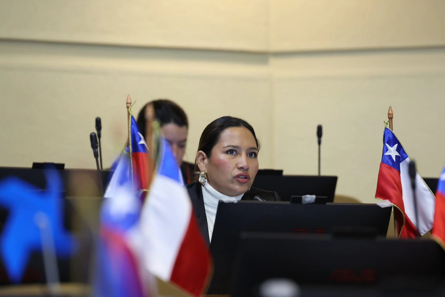 Diputada Jéldrez pide a Cancillería recuperar camionetas robadas en Putre y propone lista binacional de vehículos con Bolivia. En la imagen, Stehpanie Jéldrez.