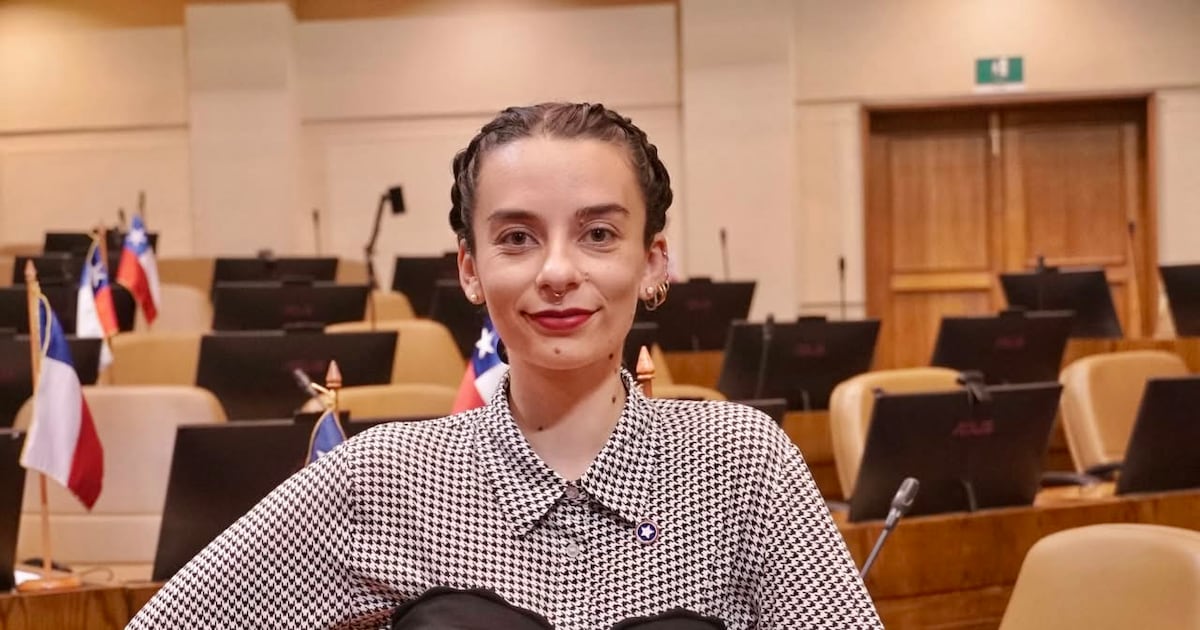 Law U. of Chile counterattacks by funa a deputy Rodríguez: they accuse