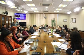 El round que se desató en la Comisión de Mujeres del Congreso