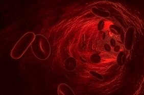 TIC10: la nueva “droga” descubierta en Chile para enfermedades cardiovasculares