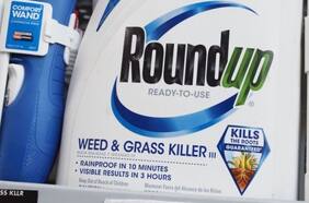 Bayer llega a millonario acuerdo en muchos casos de Roundup, el herbicida de Monsanto