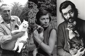 “En mi próxima vida quiero ser gato”: de Borges a Bukoswki, cuando los escritores aman a los felinos
