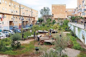 La resistencia más fértil