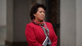 Senadora Provoste critica día libre de la Cámara Baja: “No compartimos la decisión de los diputados”