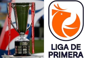 Con estudios y el simbolismo del huemul: la historia detrás del cambio de nombre del torneo nacional a Liga de Primera