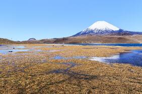 Parque Nacional Lauca: ir a conocer uno de los lagos más altos del mundo