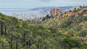 Humedal Kan Kan de Viña del Mar es declarado como ecosistema acuático urbano