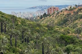 Humedal Kan Kan de Viña del Mar es declarado como ecosistema acuático urbano