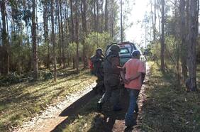 Detienen a cinco personas mientras robaban madera en predio de Tirúa