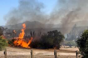 Más de mil hectáreas han sido afectadas por incendios forestales en la Región de Valparaíso