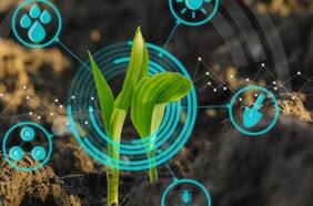 Cursos gratis de Inteligencia Artificial y Big Data