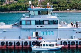 La inteligencia artificial y la sustentabilidad revolucionan la industria salmonera