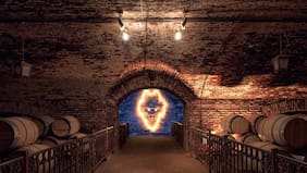 Centro del Vino Concha y Toro: un año como un referente del enoturismo y la cultura chilena