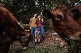 La casa de los quesos de “vacas felices”