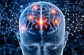 Por qué ser bilingüe protege al cerebro del Alzheimer