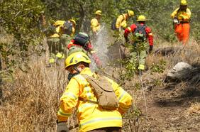 Tres brigadistas de la CMPC mueren en combate de incendio forestal en Los Sauces