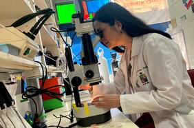 Los cifras se revierten: número de titulados en Ues. durante 2021 aumenta 37% respecto del año anterior