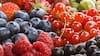 Exportaciones de alimentos anotan nuevo récord en el acumulado del año y Estados Unidos destaca como destino