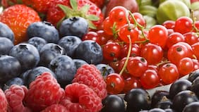 Exportaciones de alimentos anotan nuevo récord en el acumulado del año y Estados Unidos destaca como destino