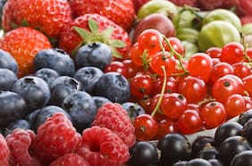 Exportaciones de alimentos anotan nuevo récord en el acumulado del año y Estados Unidos destaca como destino