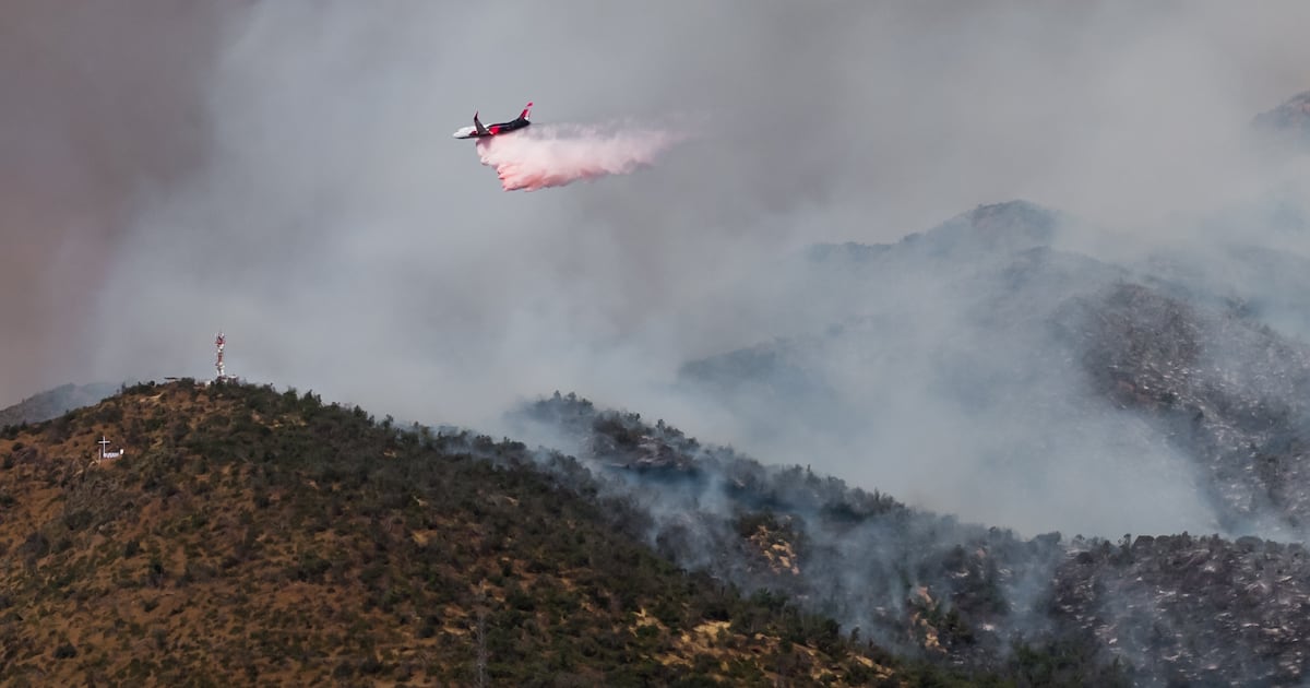 Incendios forestales azotan Chile: Conaf combate 15 focos, uno con alerta vigente en Las Condes