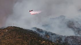 Incendios forestales no dan respiro: bombero fallece en Litueche y llamas acecharon el estadio Claro Arena en Las Condes