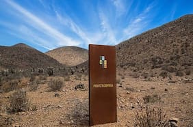 El sindicato de trabajadores faeneros que se convirtió en “socio” de Dominga