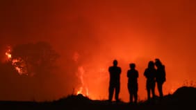Con los principales focos en el Biobío: Conaf combate 13 incendios forestales en el país y ha logrado extinguir otros 11