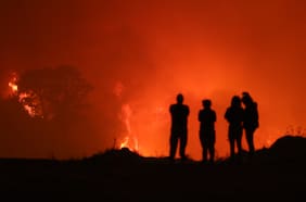 Con los principales focos en el Biobío: Conaf combate 13 incendios forestales en el país y ha logrado extinguir otros 11
