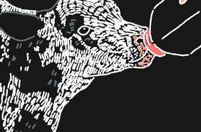 El proyecto de ley que propone declarar a los animales como seres sintientes en el Código Civil