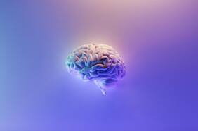 Cómo se crean los falsos recuerdos en el cerebro