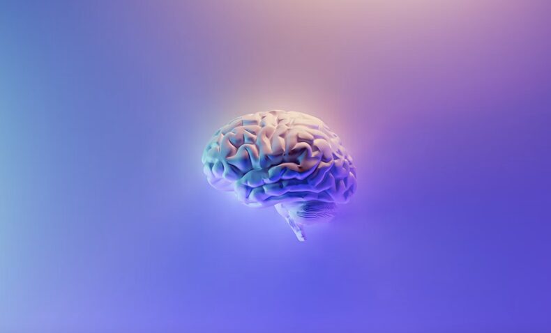 brain, mind