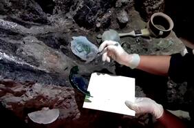 Nuevo descubrimiento en Pompeya da luces de cómo era la vida cotidiana