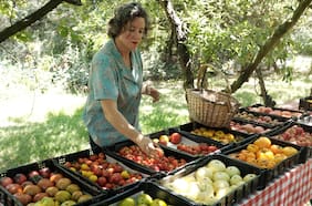 Día del Tomate: la deliciosa fiesta para cerrar el verano en el MUT