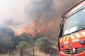 Declara alerta roja en Catemu por incendio forestal: 100 hectáreas consumidas y al menos 2 viviendas afectadas