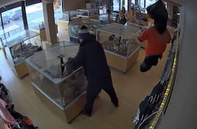 ¡De no creer!: delincuentes fingen convulsión para robar perros valuados en 8 mil dólares