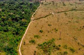 La deforestación en la Amazonía brasileña está en su peor nivel desde 2006