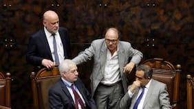 Reformas políticas: Senado despacha proyecto de Elizalde y ahora diputados se transforman en principal escollo