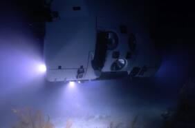 “Atacama Hadal, un viaje al inframundo”: documental revela cómo es el punto más profundo de Chile