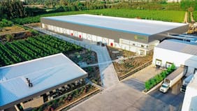 “El fin de una larga historia”: Frutícola Greenex solicita su quiebra y declara pasivos por $19.326 millones