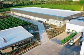 “El fin de una larga historia”: Frutícola Greenex solicita su quiebra y declara pasivos por $19.326 millones