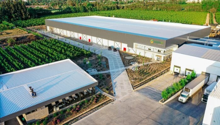 “El fin de una larga historia”: Frutícola Greenex solicita su quiebra y declara pasivos por $19.326 millones