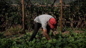 Visas laborales suben 11% en el primer semestre y bolivianos explican el 70% de los permisos entregados