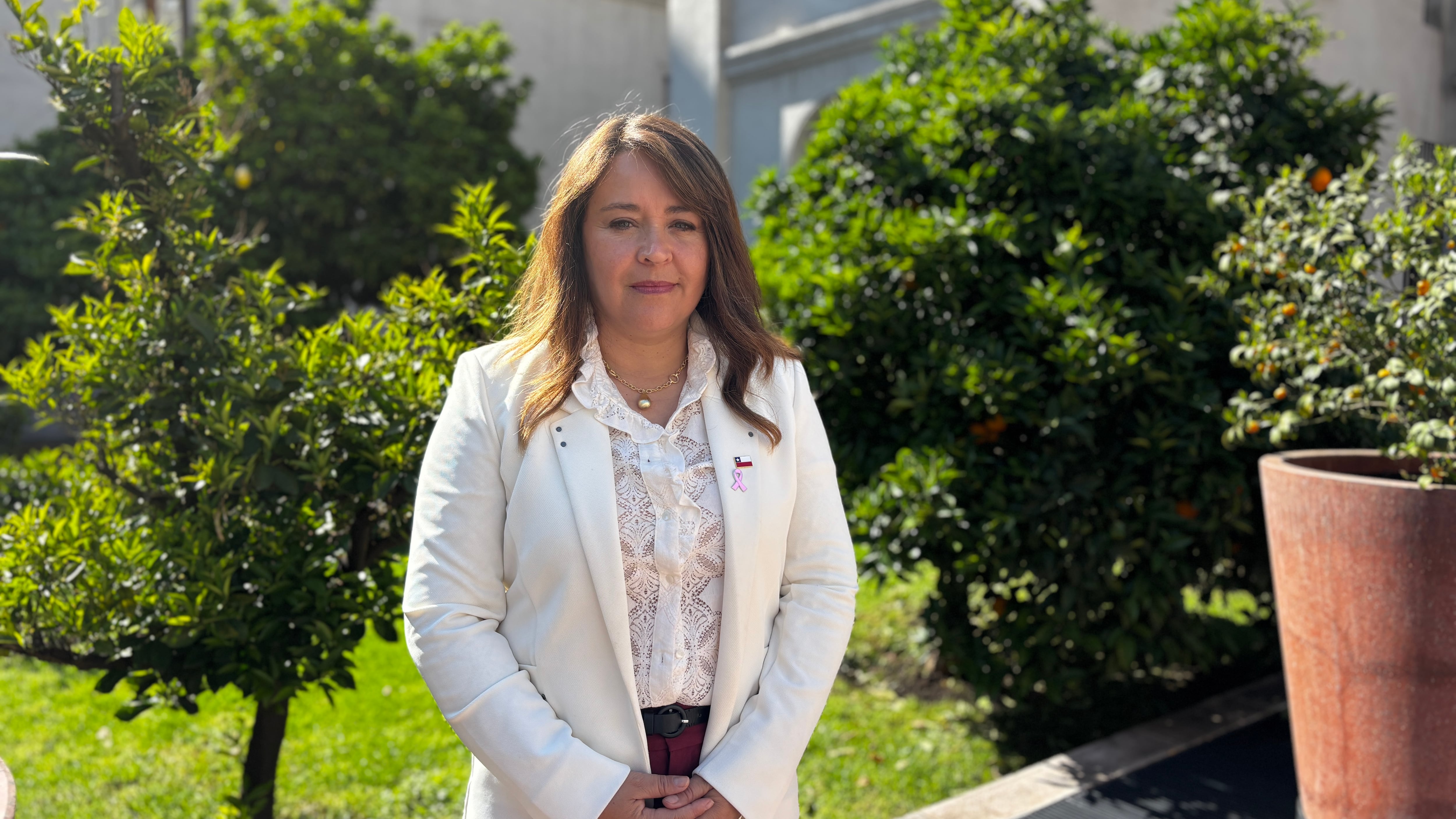 Proyecto 'Esto es Chile' realiza su primer seminario en O’Higgins