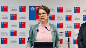 Mineras de grupos Luksic y Errázuriz, además de Aguas Andinas y SNA, critican propuesta de sitios prioritarios del gobierno