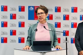 Mineras de grupos Luksic y Errázuriz, además de Aguas Andinas y SNA, critican propuesta de sitios prioritarios del gobierno